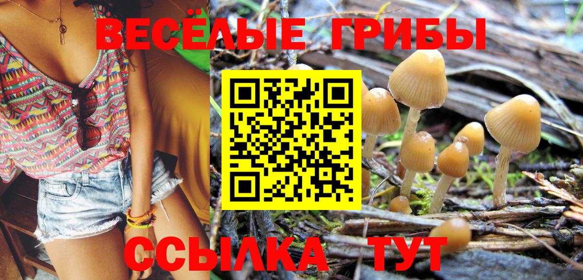 Галлюциногенные грибы Psilocybine cubensis Мирный