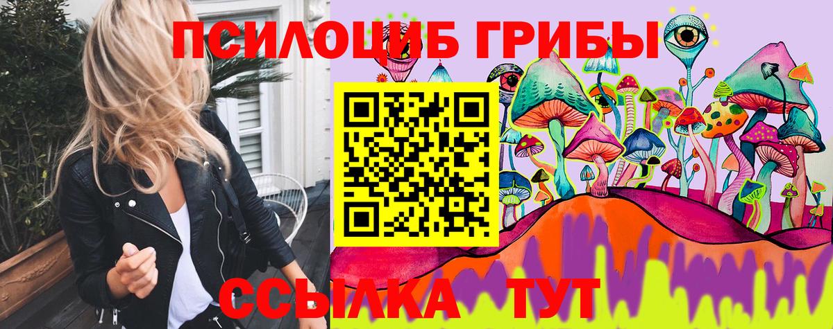 Мирный  Псилоцибиновые грибы MAGIC MUSHROOMS  Вход с VPN 
